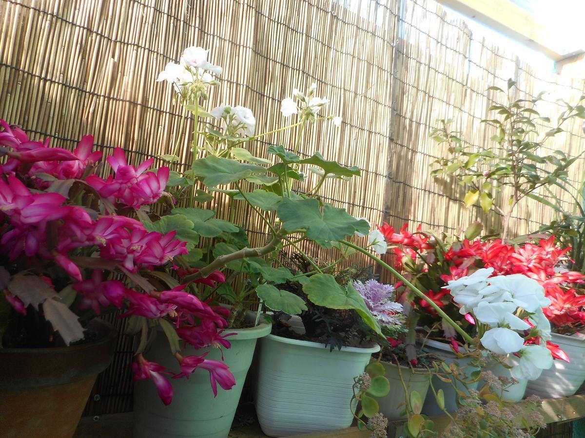 Jgh Tokyo Hostel 川口 外观 照片