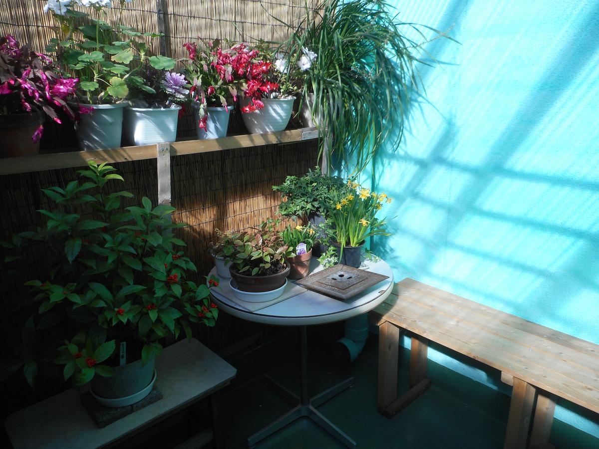 Jgh Tokyo Hostel 川口 外观 照片