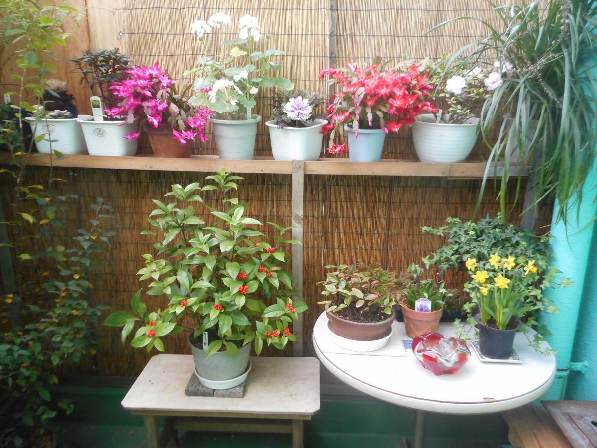 Jgh Tokyo Hostel 川口 外观 照片